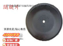 點擊查看詳細信息<br>標題：氣動隔膜泵配件-隔膜片 閱讀次數：139
